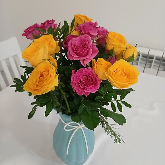 Sunny Oasis Apartment 10a Kitchen, Belgrade